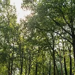 度假居 Elegant Country Chalet In Guelders *