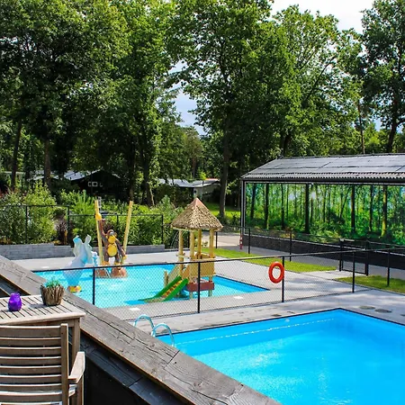 Stylish In The Woods For 6