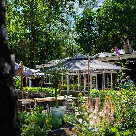 Stylish In The Woods For 6 * Hoenderloo