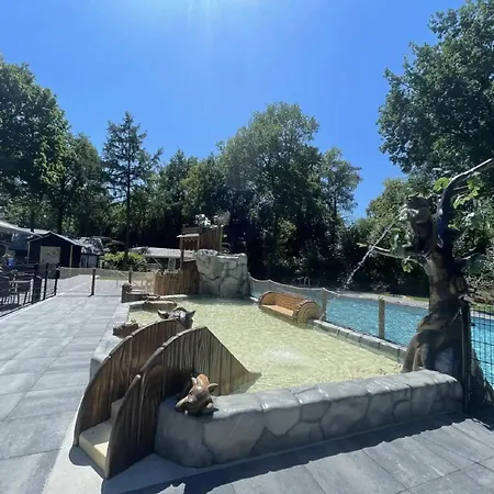 Stylish In The Woods For 6 *