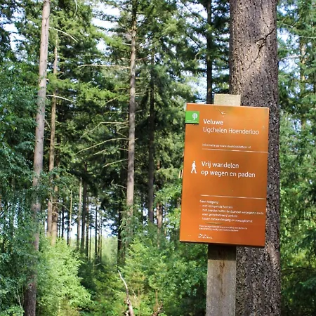 Stylish In The Woods For 6 *