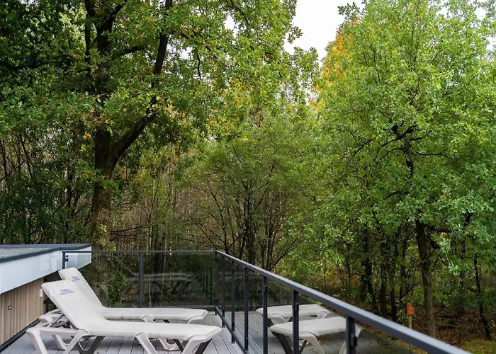 Holiday home Stylish In The Woods For 6 Hoenderloo