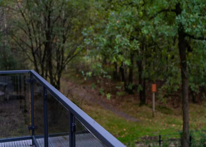 Stylish In The Woods For 6 * Hoenderloo