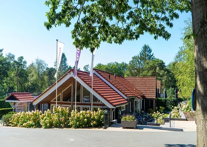 Stylish In The Woods For 6