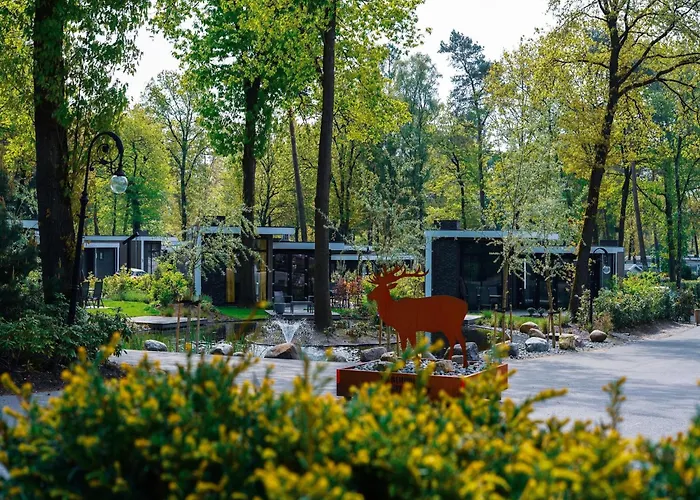 Ferienhaus Stylish In The Woods For 6