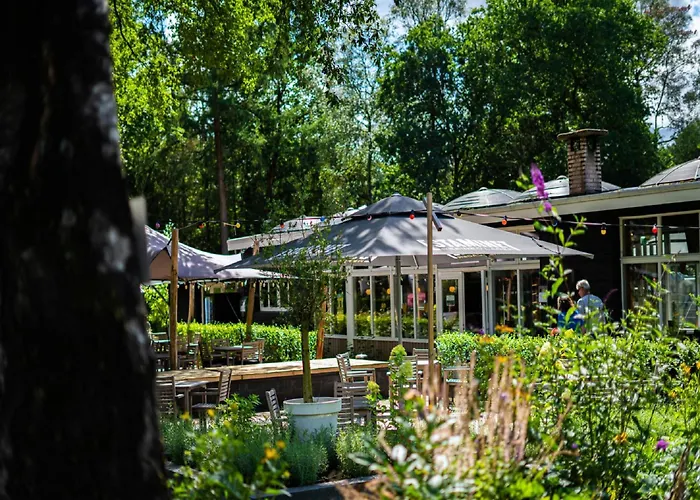 Stylish In The Woods For 6 * Hoenderloo