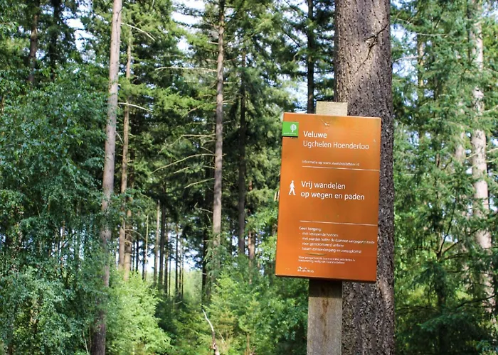 Stylish In The Woods For 6 *