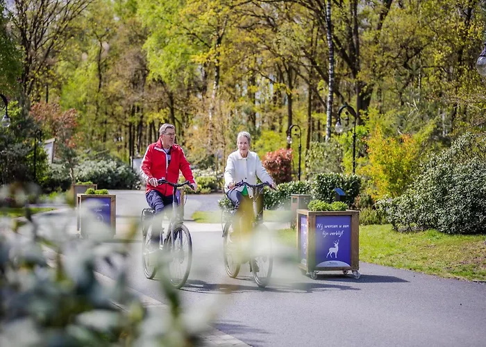 Stylish In The Woods For 6