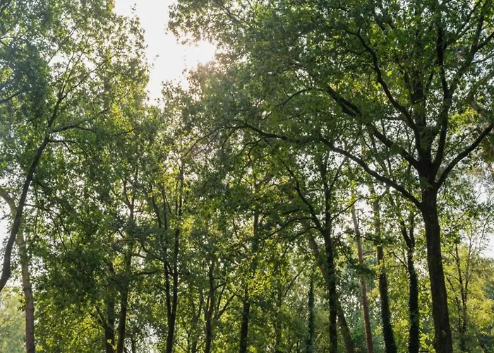 Holiday home Stylish In The Woods For 6 *